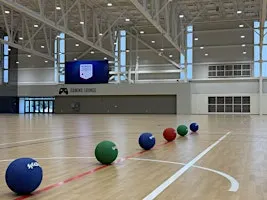 901 Dodgeball Showdown