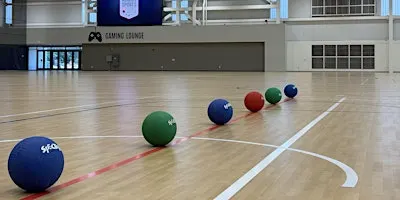 901 Dodgeball Showdown