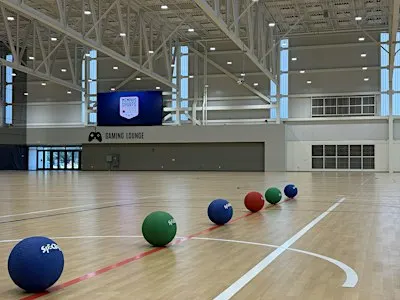 901 Dodgeball Showdown