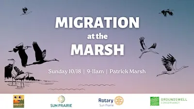 Migration at the Marsh