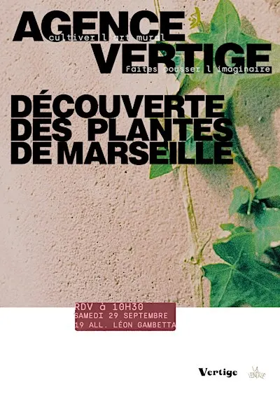 Découverte des plantes de Marseille