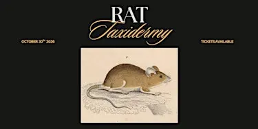 Rat Taxidermy Workshop