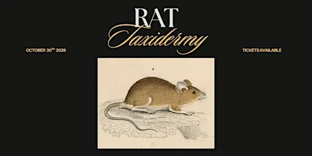 Rat Taxidermy Workshop