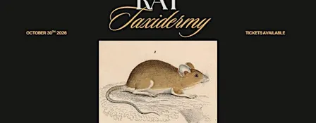 Rat Taxidermy Workshop