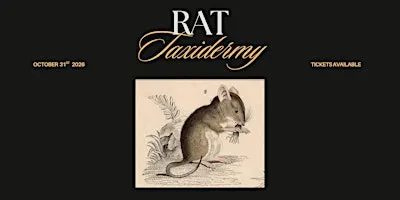 Rat Taxidermy Workshop