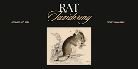 Rat Taxidermy Workshop
