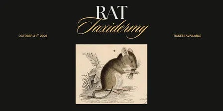 Rat Taxidermy Workshop