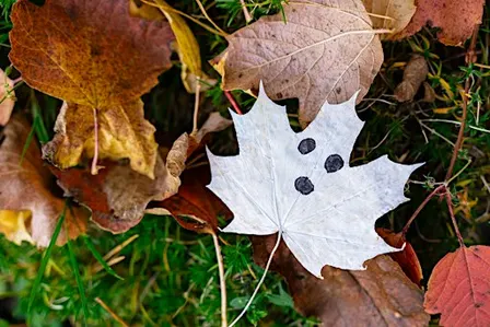 Halloween Kids Crafts at Division