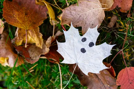 Halloween Kids Crafts at Division