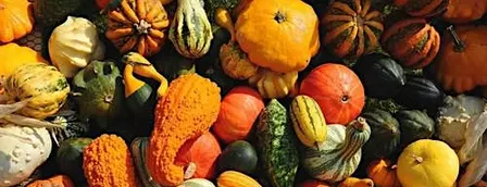 Pumpkin Feast Workshop