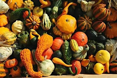Pumpkin Feast Workshop
