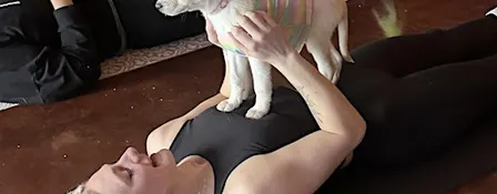 Dog Yoga~ Nov 8 @ 1-2:30 at Third Wheel Brewing