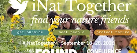 iNat Together Along The San Antonio River
