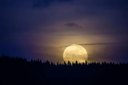Reflect & Replenish: Guided Meditation for the Full Hunter Moon