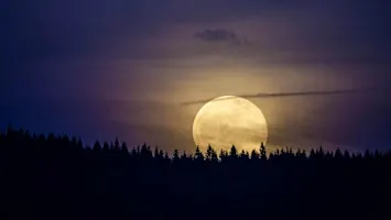 Reflect & Replenish: Guided Meditation for the Full Hunter Moon