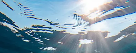 Aqua Experience für Frauen - Entspannung, Begegnung u. neue Wassererfahrung