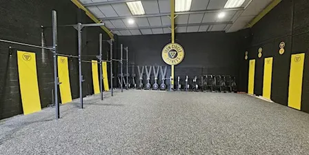 Muscle Up Workshop