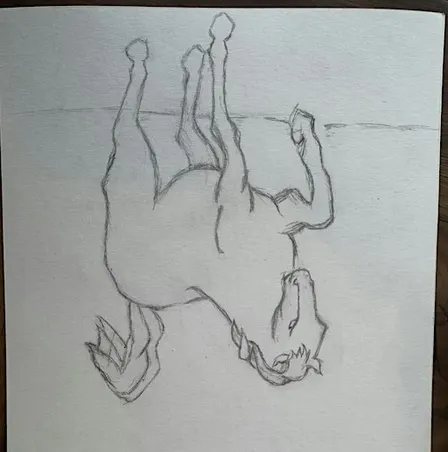 Drawing from a different angle