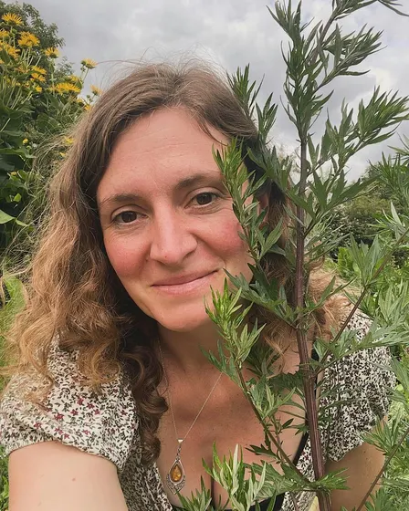 Seed-to-Remedy: Wild Medicine Making Workshop