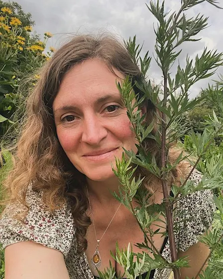 Seed-to-Remedy: Wild Medicine Making Workshop