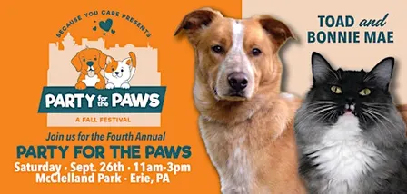 Party for the Paws Fall Fest - Because You Care Animal Rescue