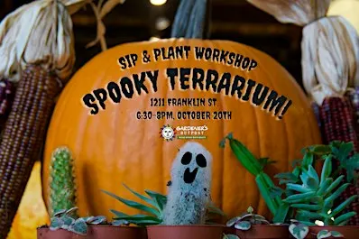 Sip & Plant Workshop: Spooky Terrariums!