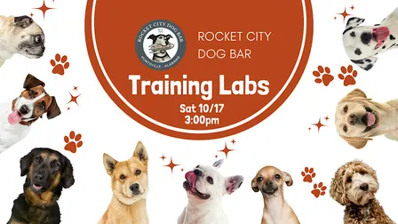 Training Labs: Beyond Obedience