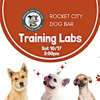 Training Labs: Beyond Obedience