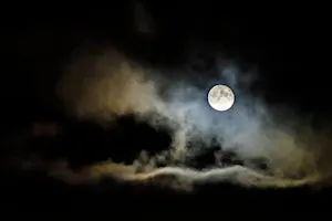 Full Moon Singles Walk - the Bull Island - 40s to mid 50s
