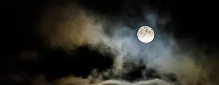 Full Moon Singles Walk - the Bull Island - 40s to mid 50s