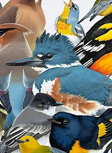 REMEMBER ME: MUSING ON BIRDS by Zia Daugherty