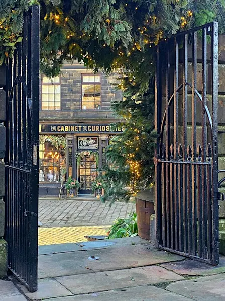 Phone Photography Walk . NOVEMBER