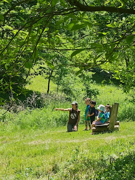 Fall at DIG Farm: Homeschooling Program