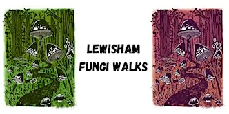 Guided fungi walk - Sydenham Wells Park
