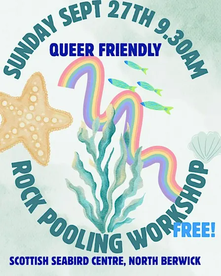 Free Queer Friendly Rockpooling for U26's