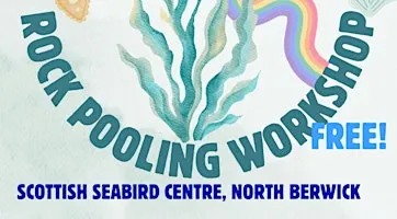 Free Queer Friendly Rockpooling for U26's