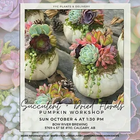 Succulent + Dried Florals Pumpkin | Bow River Brewing