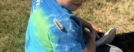 Little Farm Explorers