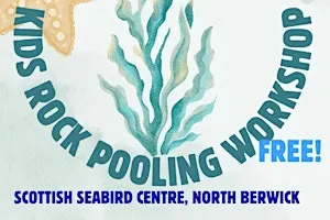 Free Intro to Rockpooling Session for Ages 4-12