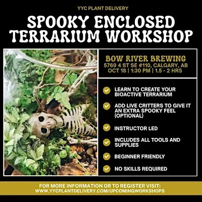 Spooky Enclosed Terrarium | Bow River Brewing