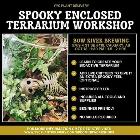 Spooky Enclosed Terrarium | Bow River Brewing