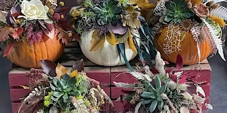 Pumpkin Succulent Workshop