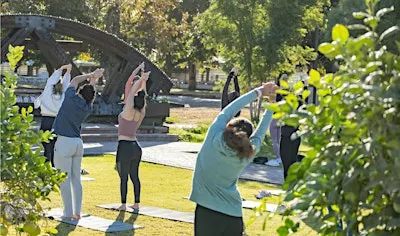 Yoga at The Farm