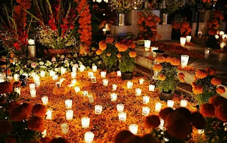 Ancestral Cacao and Fire Ceremony