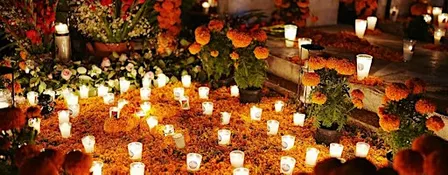 Ancestral Cacao and Fire Ceremony