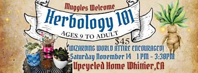 Herbology 101 Succulent Workshop