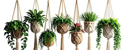 Macrame Plant Hanger Workshop