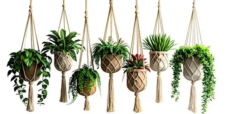 Macrame Plant Hanger Workshop
