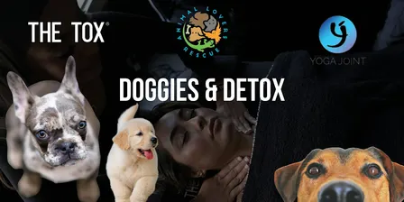 Doggies & Detox
