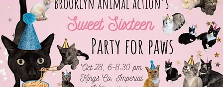 Party for Paws at Kings Co Imperial